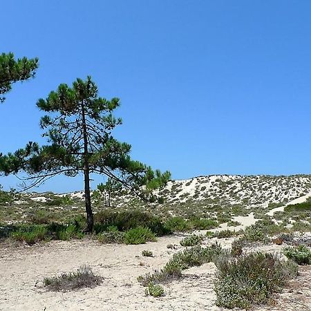 Comporta Beach House Kültér fotó