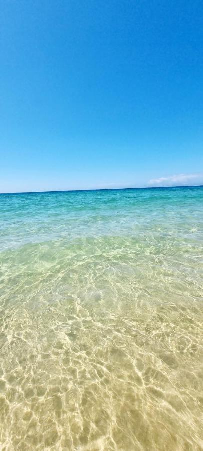 Comporta Beach House Kültér fotó